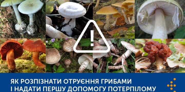 ОТРУЄННЯ ГРИБАМИ:  ЯК УНИКНУТИ, ВИЯВИТИ ТА ДОПОМОГТИ