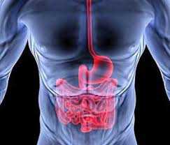 Основні гострі хірургічні захворювання органів черевної порожнини